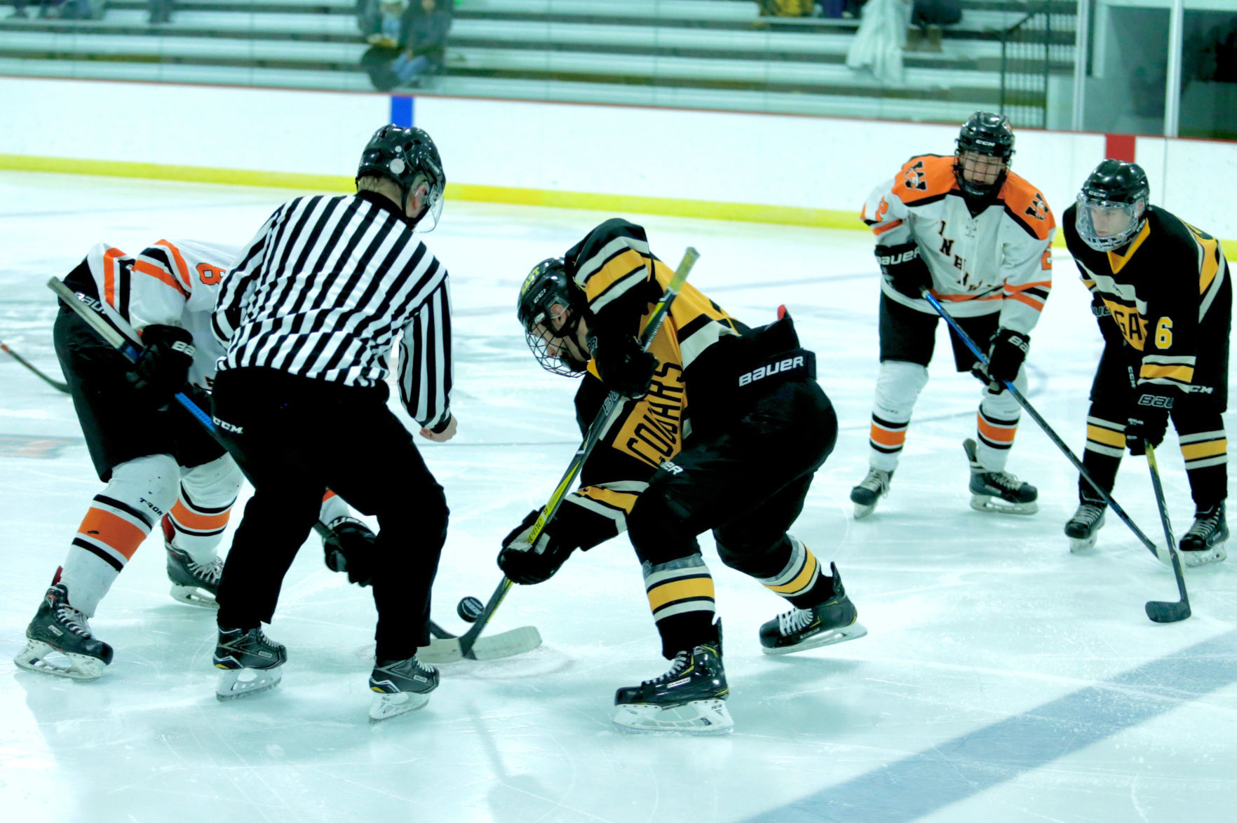 Winhawk Hockey